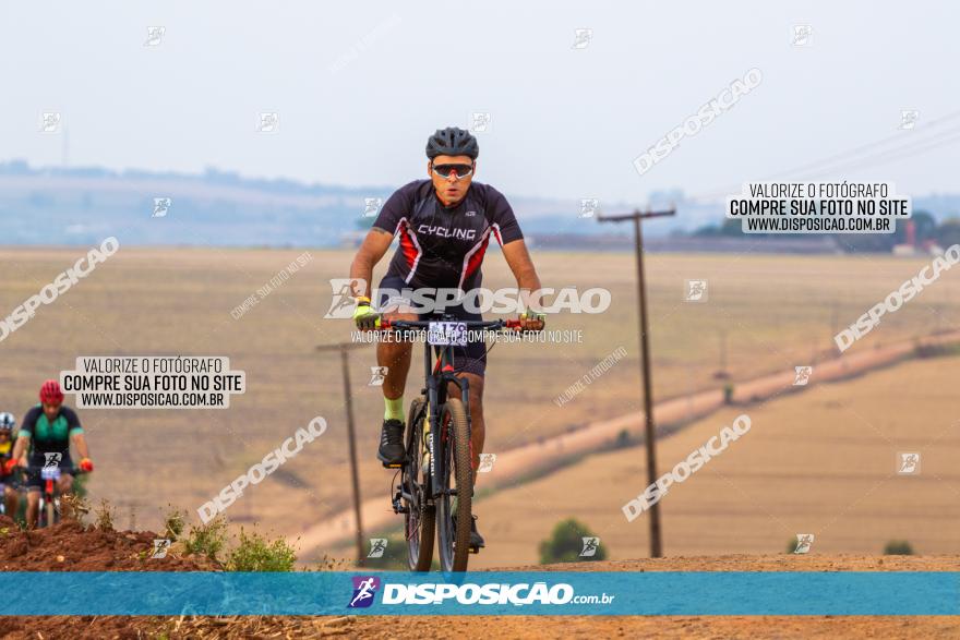 Rota das Capelas de Mandaguaçu