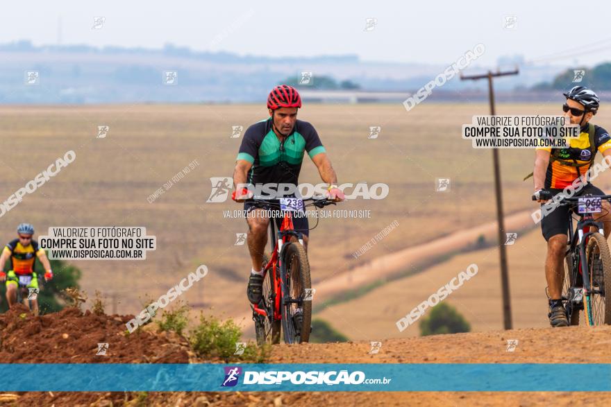 Rota das Capelas de Mandaguaçu