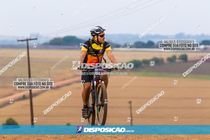 Rota das Capelas de Mandaguaçu