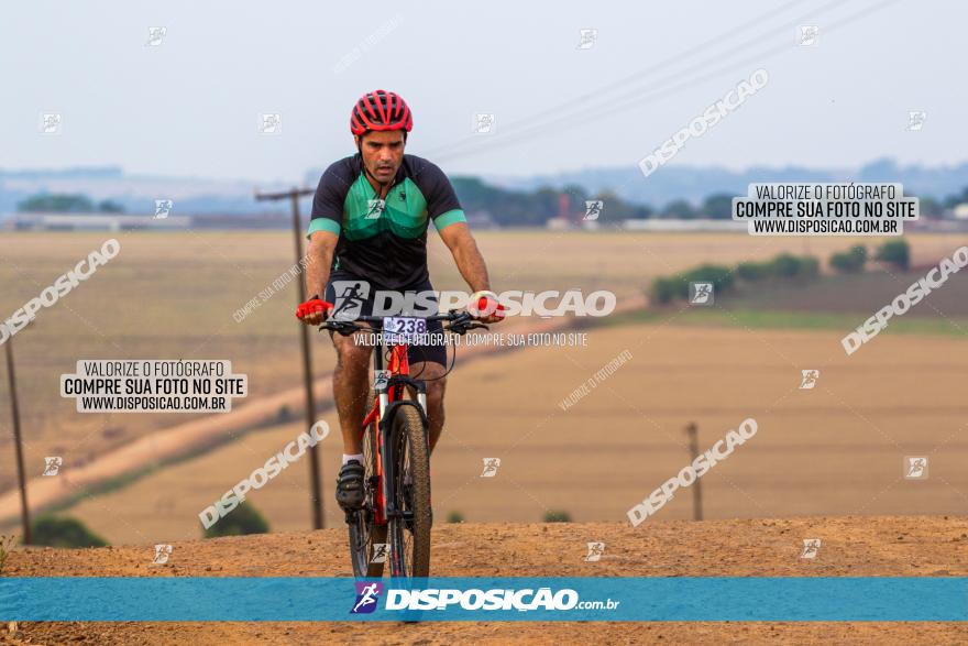 Rota das Capelas de Mandaguaçu