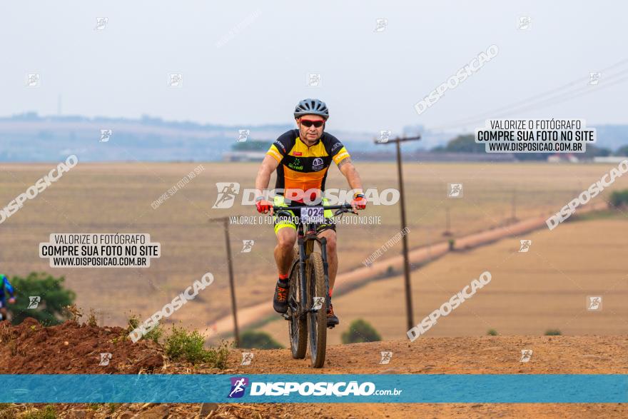 Rota das Capelas de Mandaguaçu