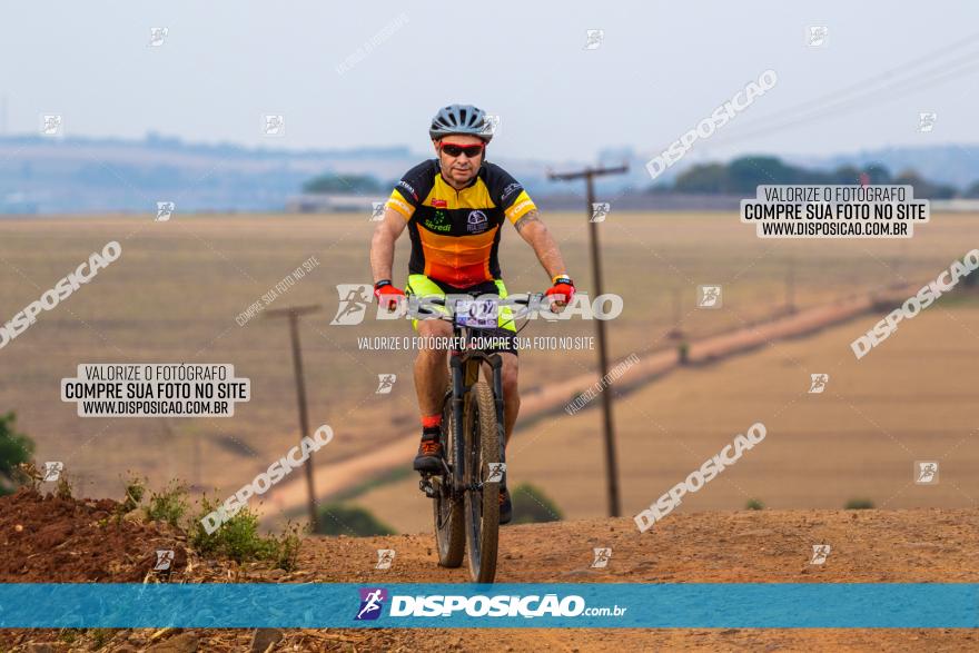 Rota das Capelas de Mandaguaçu