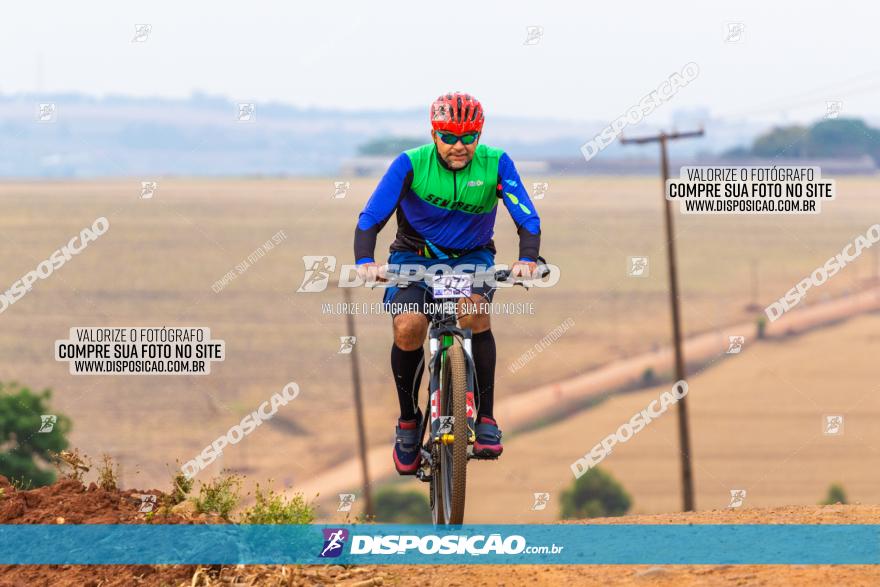 Rota das Capelas de Mandaguaçu