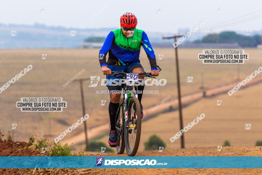 Rota das Capelas de Mandaguaçu