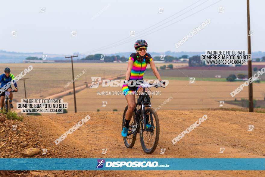 Rota das Capelas de Mandaguaçu