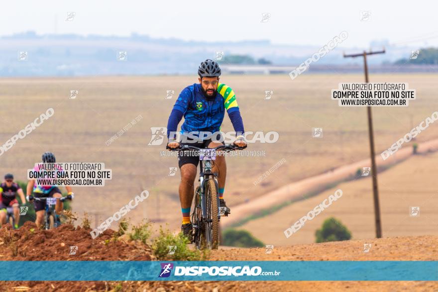 Rota das Capelas de Mandaguaçu