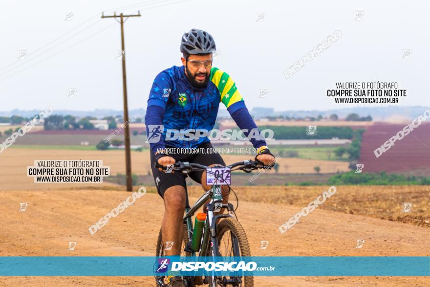 Rota das Capelas de Mandaguaçu