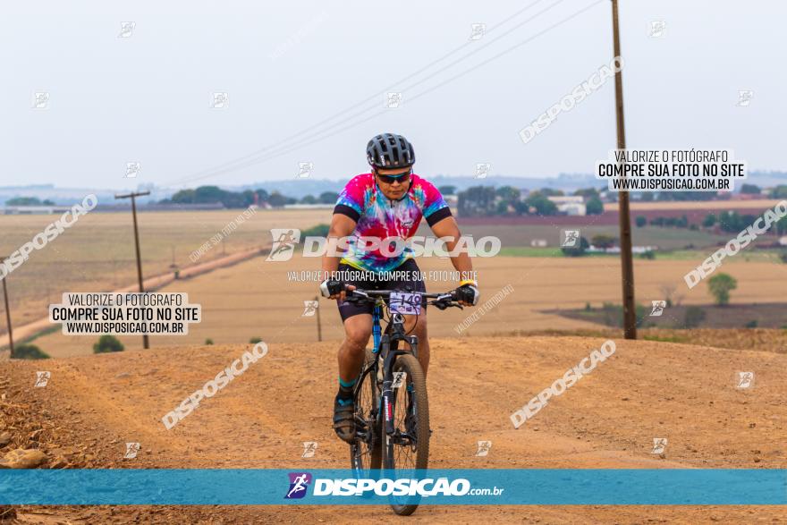 Rota das Capelas de Mandaguaçu