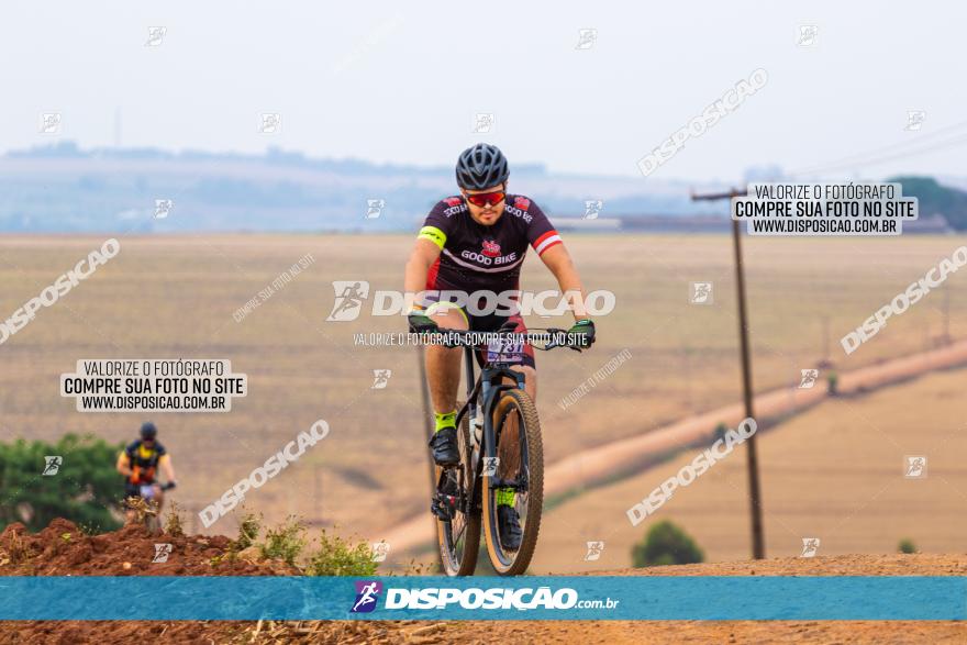 Rota das Capelas de Mandaguaçu