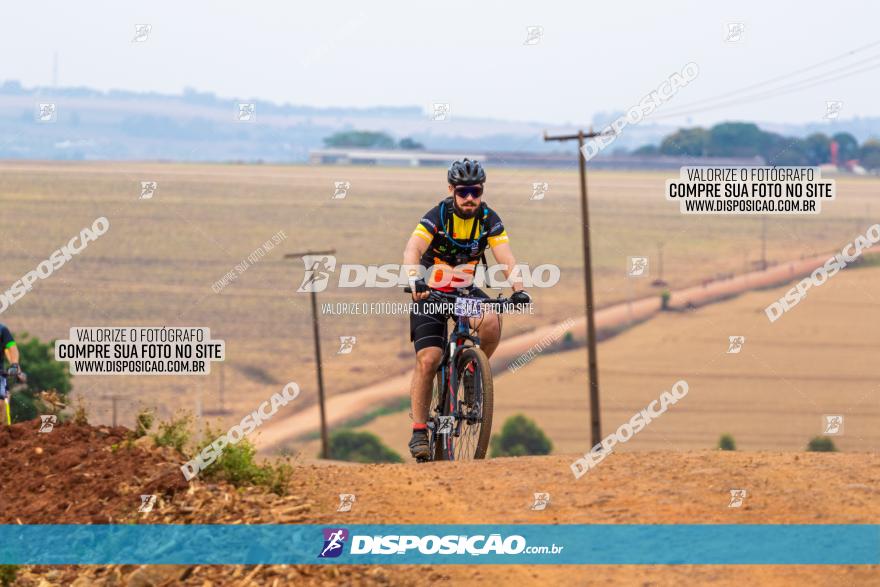 Rota das Capelas de Mandaguaçu