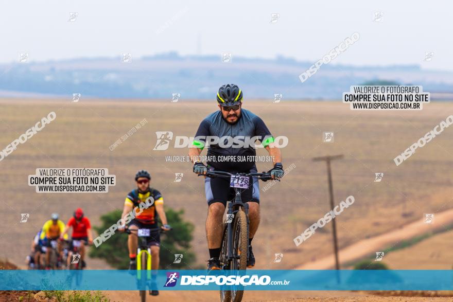 Rota das Capelas de Mandaguaçu