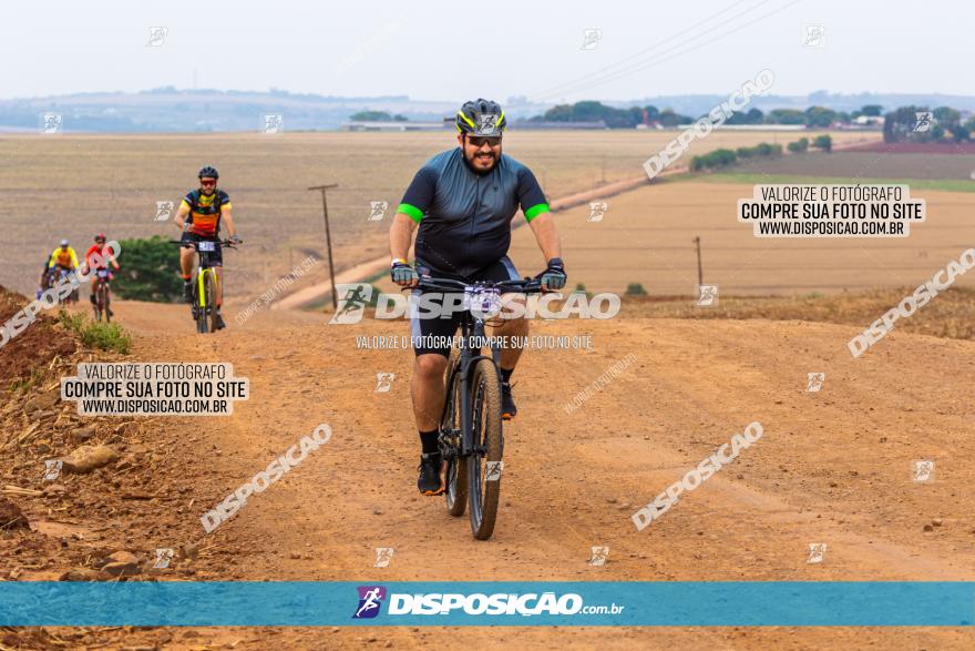 Rota das Capelas de Mandaguaçu