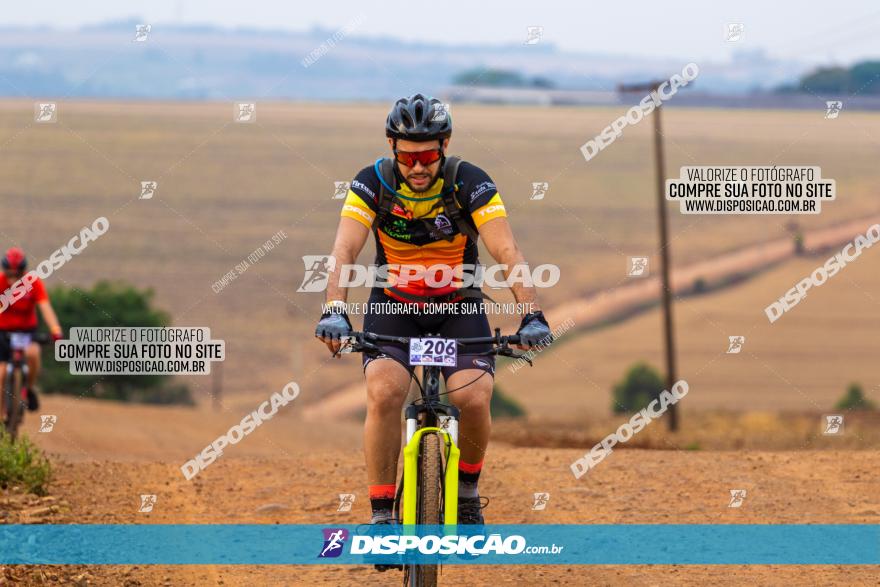 Rota das Capelas de Mandaguaçu