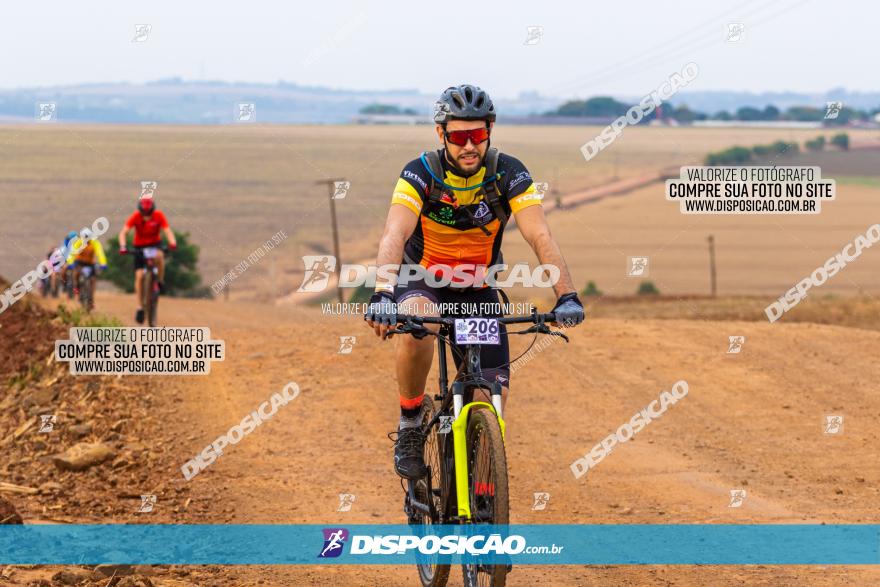 Rota das Capelas de Mandaguaçu