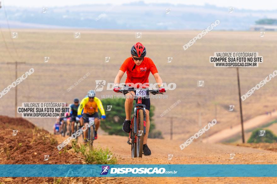 Rota das Capelas de Mandaguaçu