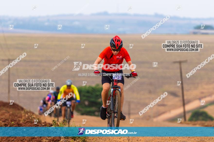 Rota das Capelas de Mandaguaçu