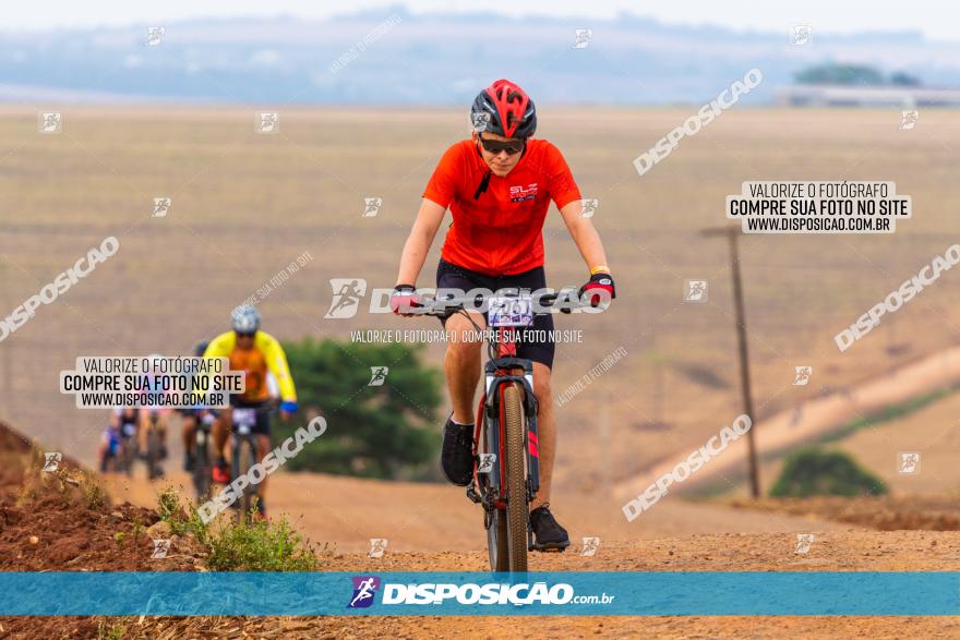 Rota das Capelas de Mandaguaçu