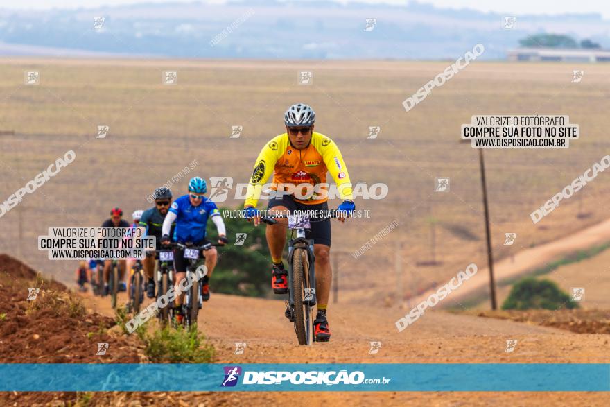 Rota das Capelas de Mandaguaçu