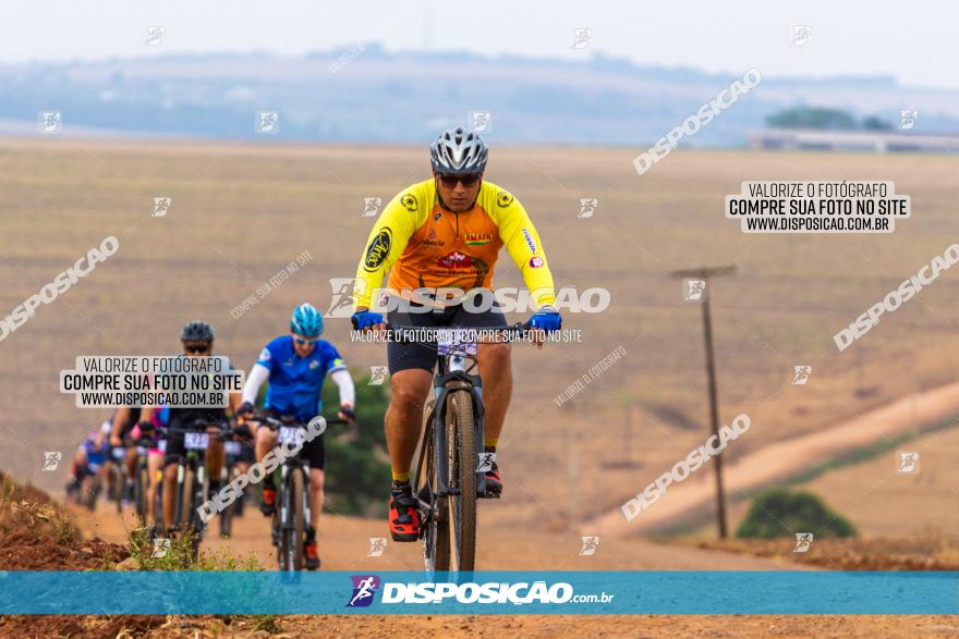 Rota das Capelas de Mandaguaçu