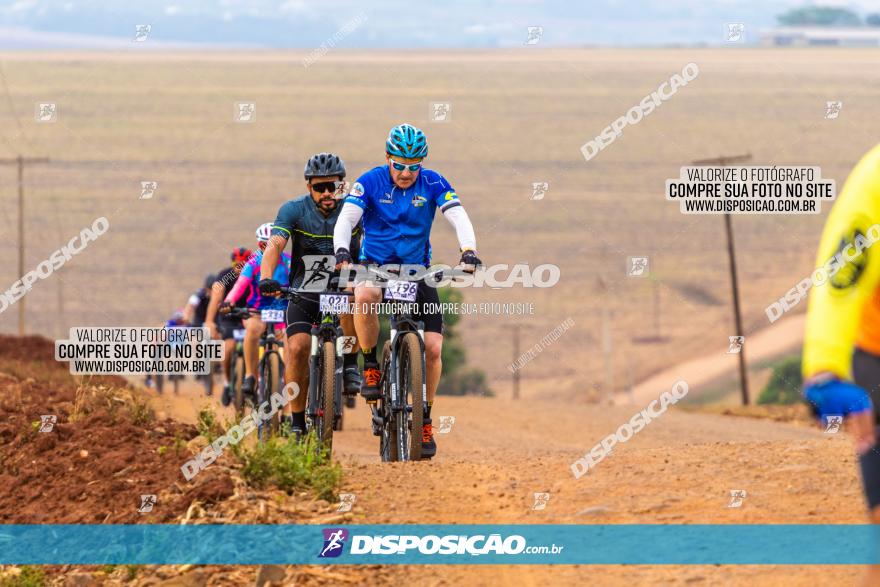 Rota das Capelas de Mandaguaçu