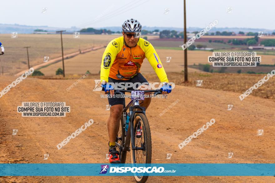 Rota das Capelas de Mandaguaçu