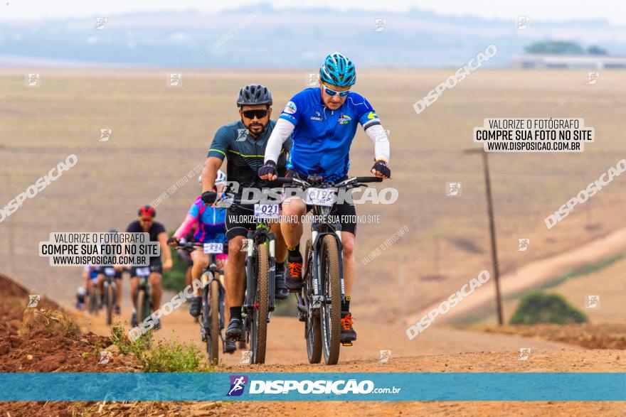 Rota das Capelas de Mandaguaçu