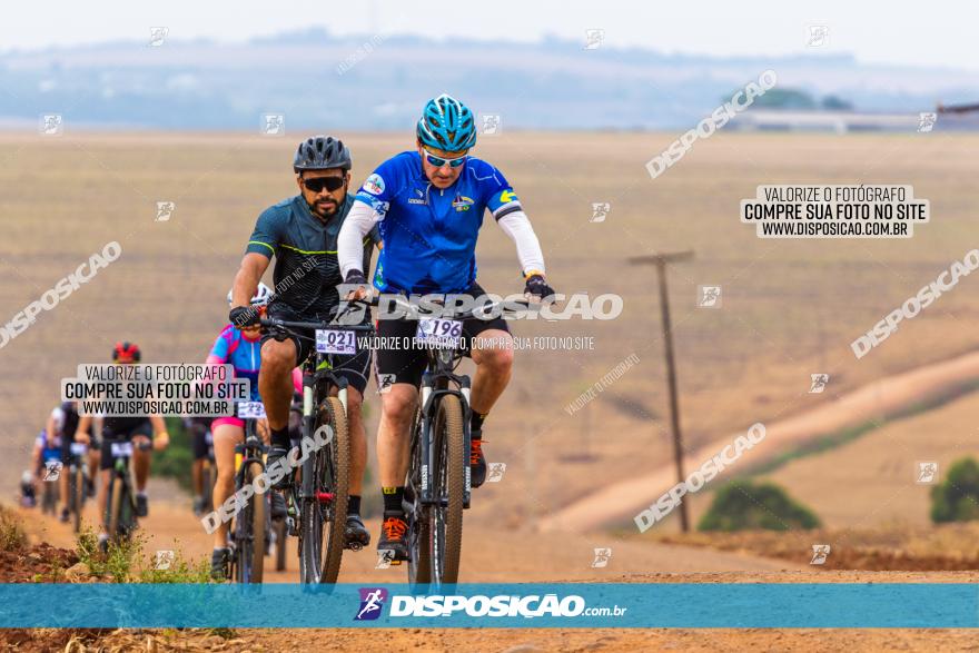 Rota das Capelas de Mandaguaçu