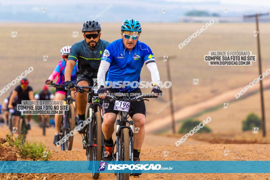 Rota das Capelas de Mandaguaçu