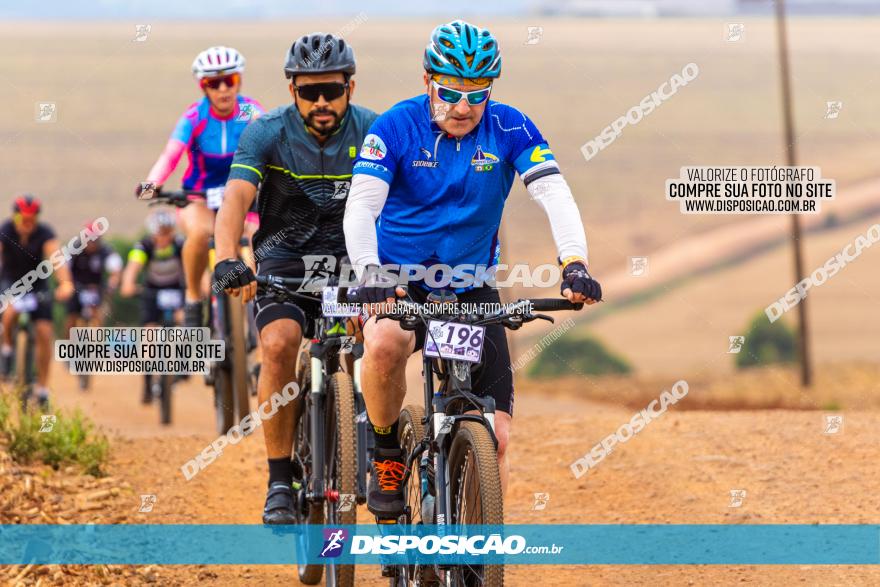 Rota das Capelas de Mandaguaçu