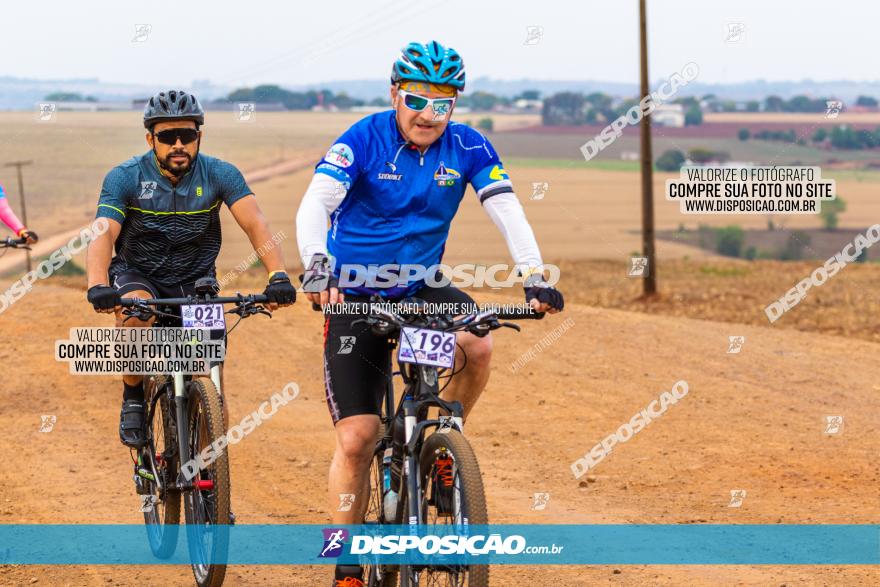 Rota das Capelas de Mandaguaçu