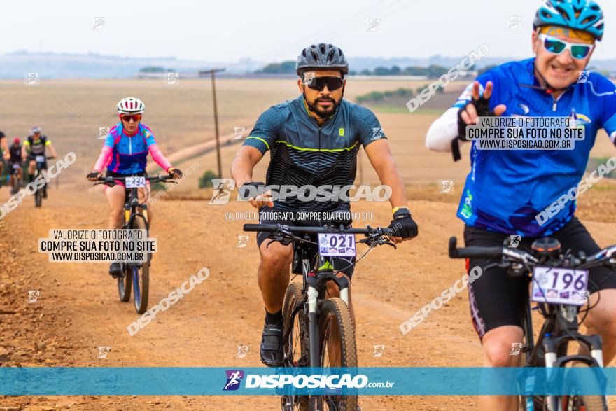 Rota das Capelas de Mandaguaçu