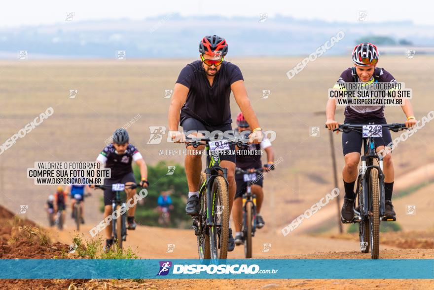 Rota das Capelas de Mandaguaçu