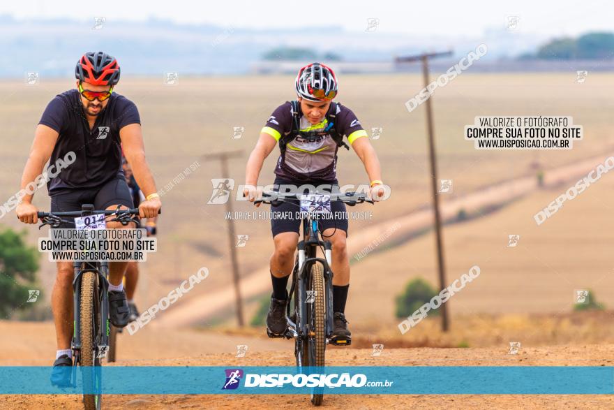 Rota das Capelas de Mandaguaçu