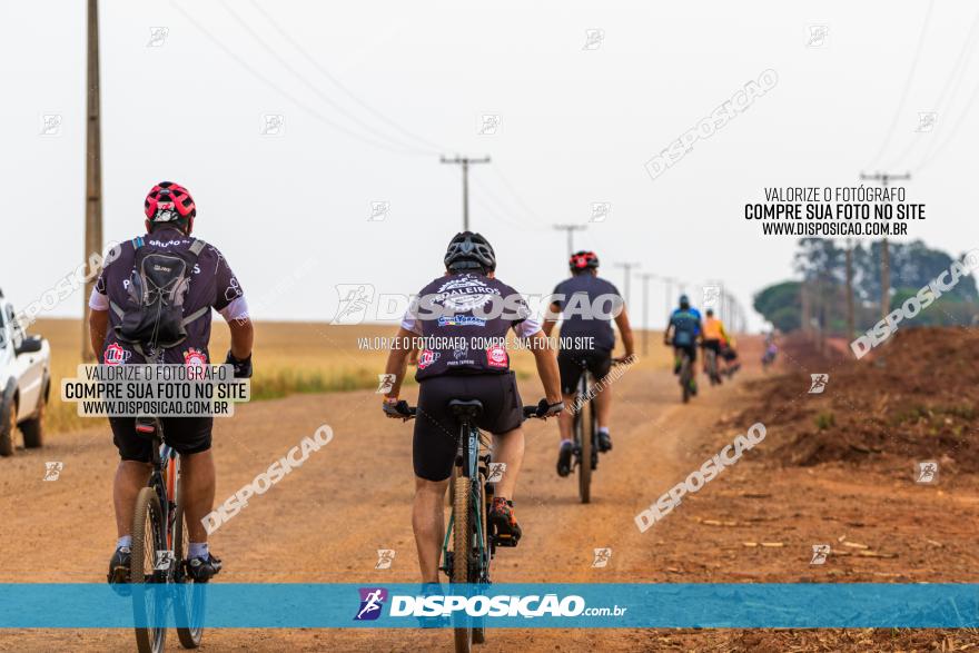 Rota das Capelas de Mandaguaçu