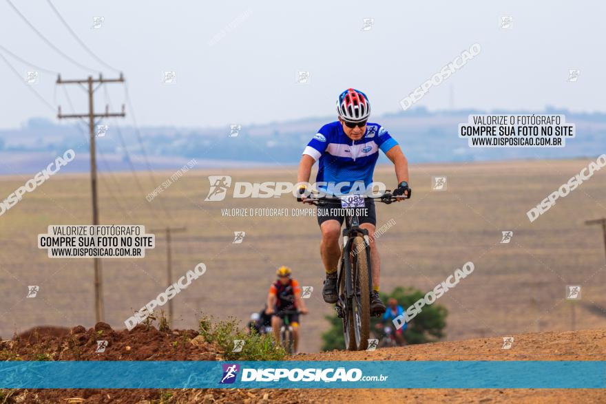 Rota das Capelas de Mandaguaçu