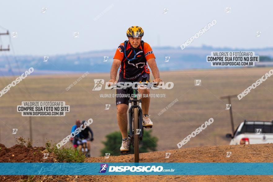 Rota das Capelas de Mandaguaçu