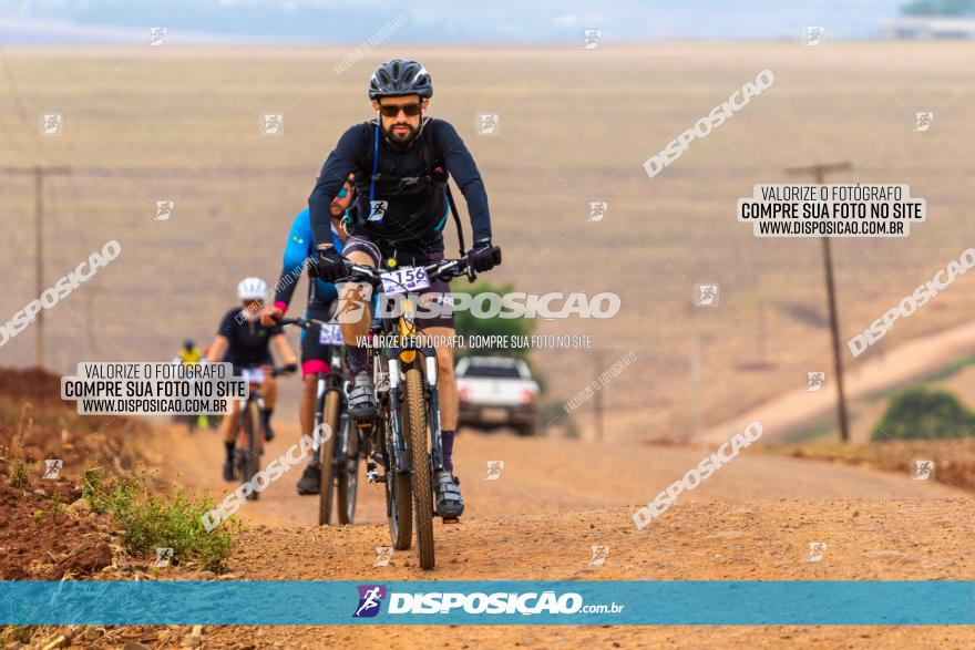 Rota das Capelas de Mandaguaçu