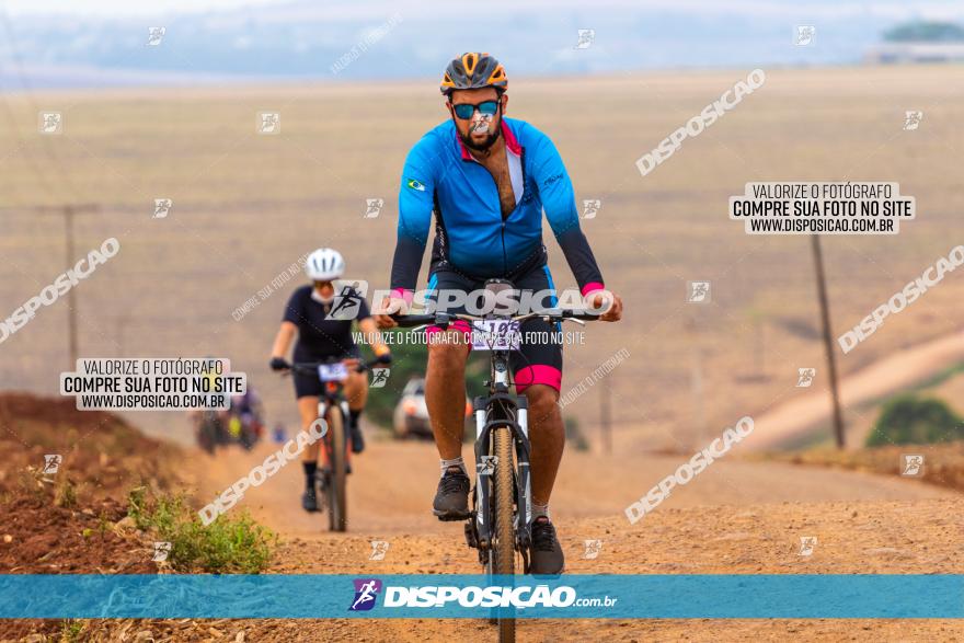 Rota das Capelas de Mandaguaçu