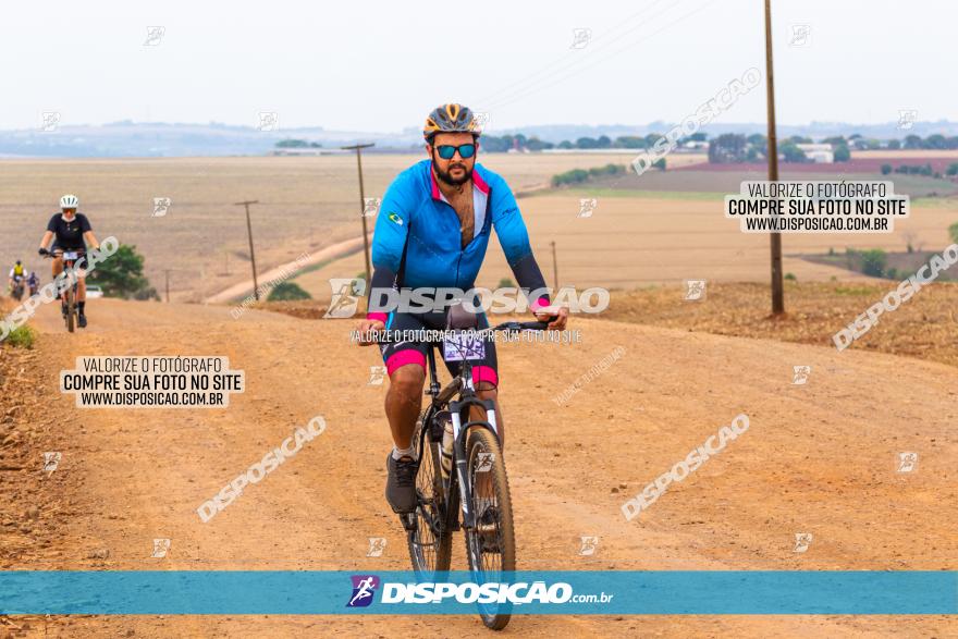 Rota das Capelas de Mandaguaçu