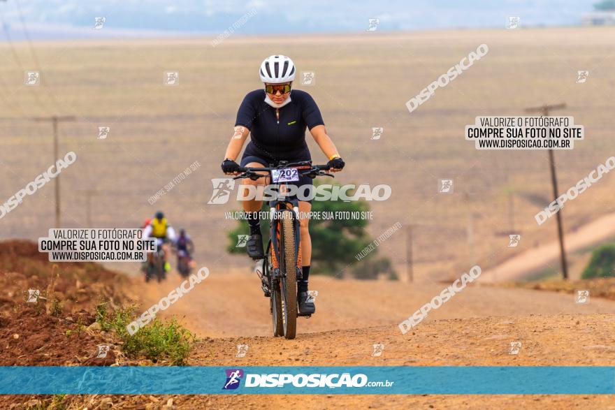 Rota das Capelas de Mandaguaçu