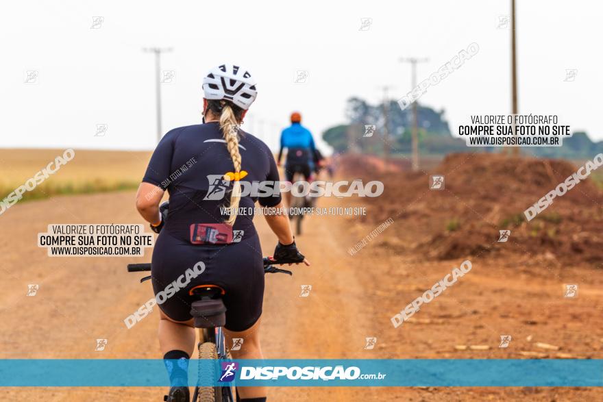 Rota das Capelas de Mandaguaçu