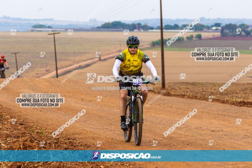 Rota das Capelas de Mandaguaçu