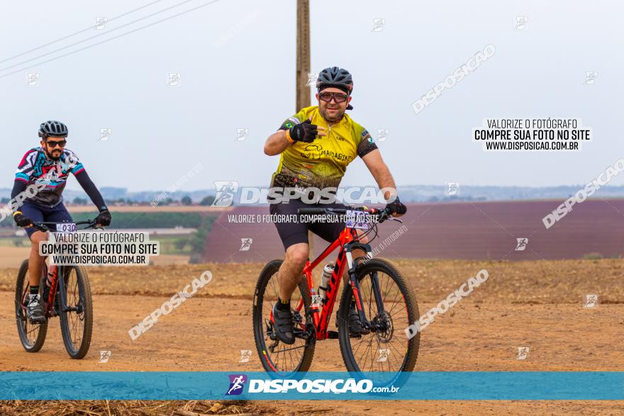 Rota das Capelas de Mandaguaçu