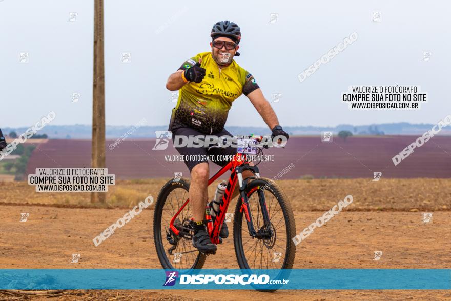 Rota das Capelas de Mandaguaçu