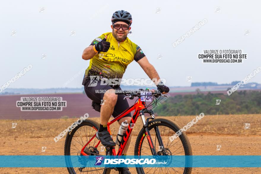 Rota das Capelas de Mandaguaçu