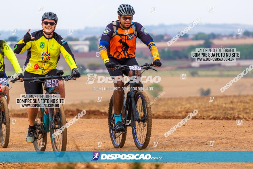 Rota das Capelas de Mandaguaçu