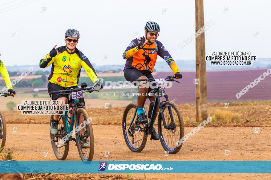 Rota das Capelas de Mandaguaçu