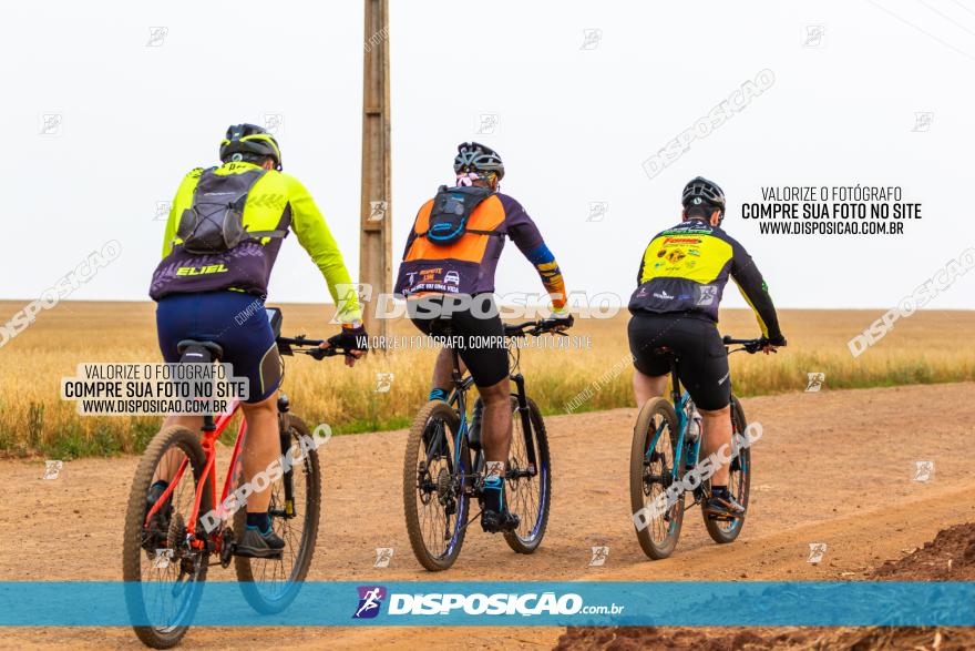 Rota das Capelas de Mandaguaçu