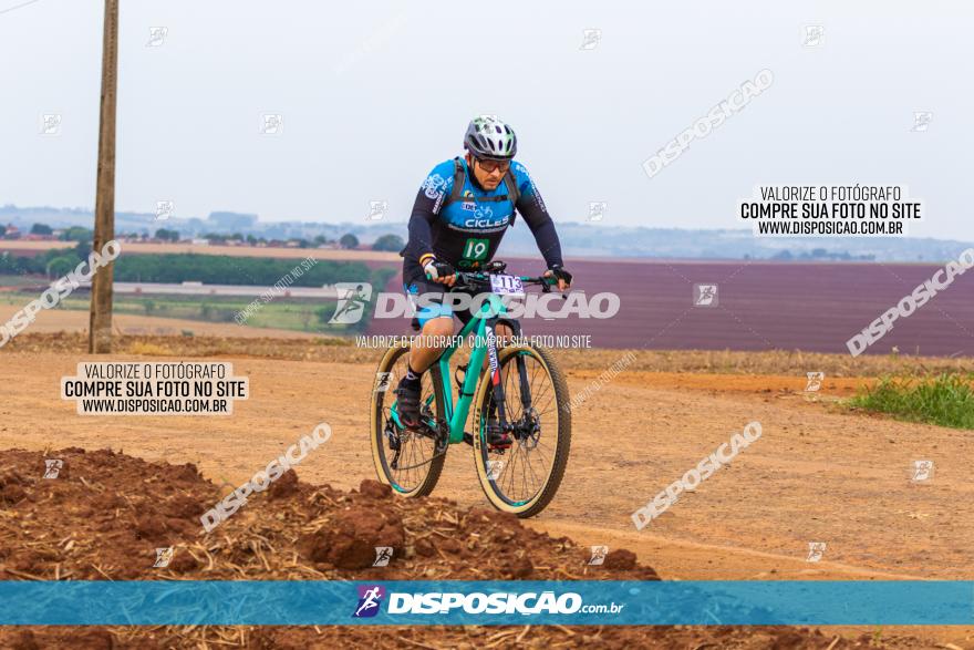 Rota das Capelas de Mandaguaçu