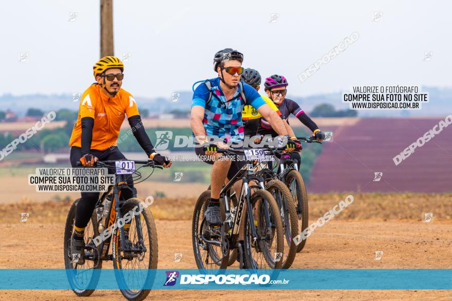 Rota das Capelas de Mandaguaçu